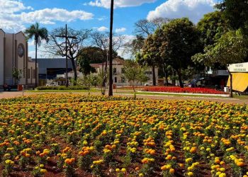 Comurg adota plano específico para manter canteiros floridos durante estiagem