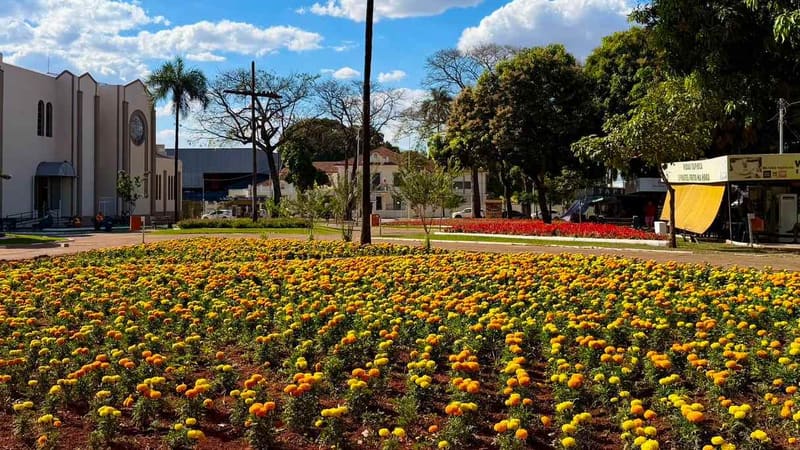 Comurg adota plano específico para manter canteiros floridos durante estiagem