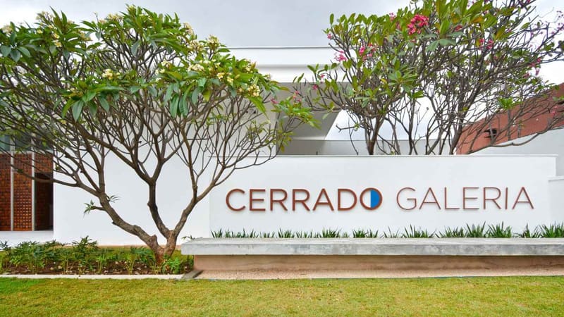 ATAC e Cerrado Galeria realizam oficinas, circuito de visitas e obra inédita no Festival Bananada