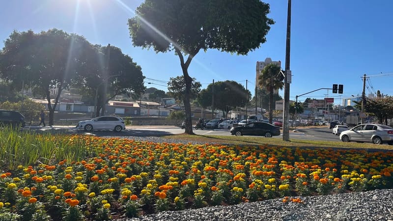 Comurg mapeia Goiânia para Projeto Florescer