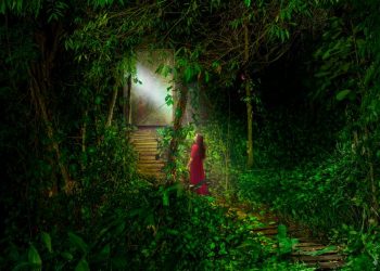 Exposição Outro Lado transforma Parque Trianon em espaço de arte e fotografia em São Paulo