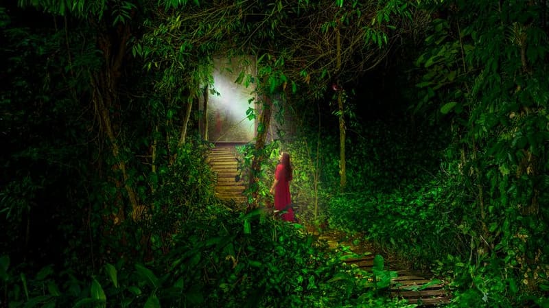 Exposição Outro Lado transforma Parque Trianon em espaço de arte e fotografia em São Paulo