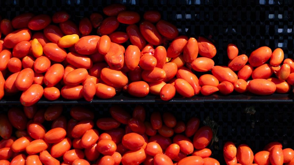 Kraft Heinz tem mais da metade dos funcionários em Goiás e mira dobrar de tamanho no Brasil até 2030