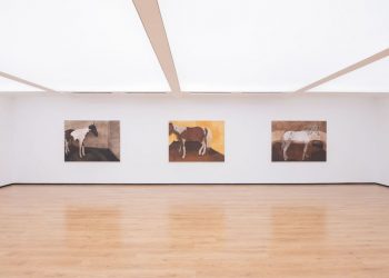 Cerrado Galeria oferece oficina criativa gratuita neste sábado (5/9)