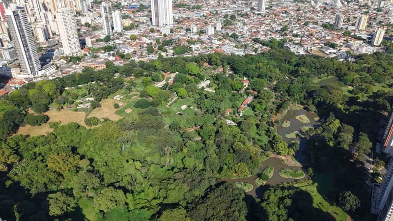Pesquisa indica que 98,3% dos visitantes recomendam Goiânia como destino turístico