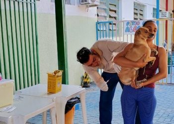 Prefeitura realiza campanha de vacinação antirrábica no sábado (12/9) com mais de 160 pontos de Goiânia