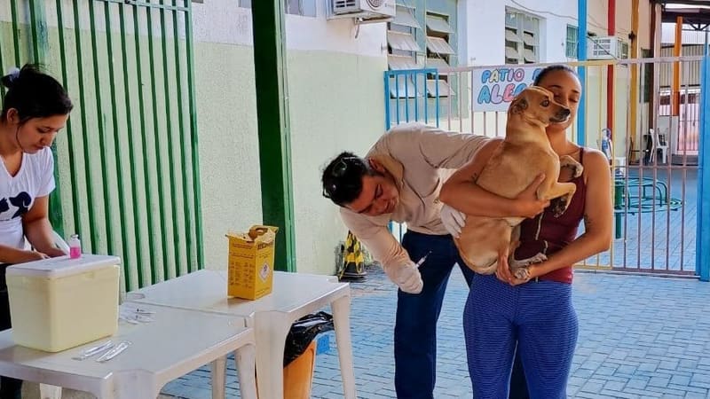 Prefeitura realiza campanha de vacinação antirrábica no sábado (12/9) com mais de 160 pontos de Goiânia