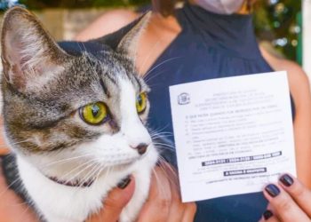 Campanha de Vacinação Antirrábica 2026 imuniza 74 mil cães e gatos contra raiva em Goiânia