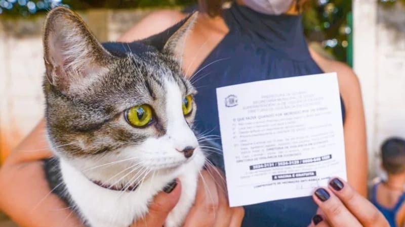 Campanha de Vacinação Antirrábica 2026 imuniza 74 mil cães e gatos contra raiva em Goiânia